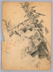 Étude de feuillage - William Trost Richards