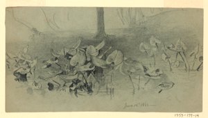 Étude de feuillage - William Trost Richards