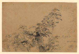 Étude de feuillage - William Trost Richards