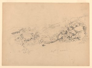 Étude de feuillage, Trachselwald, Berne, Suisse - William Trost Richards