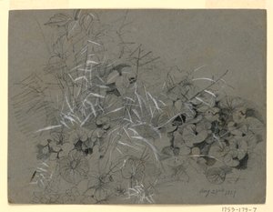 Étude de Feuilles de Violette et d