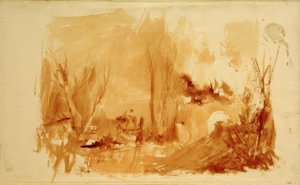 Paysage boisé
