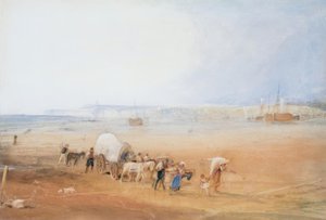 Scène de plage sur la côte sud