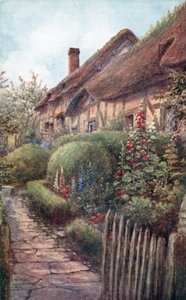 Cottage d