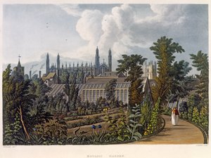 Les jardins botaniques de Cambridge, de 