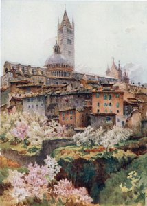 Sienne. La cathédrale - William Wiehe Collins