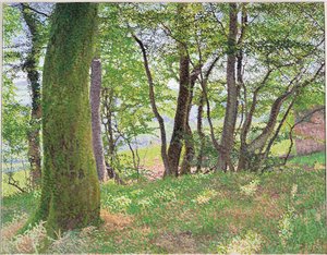 Après-midi à Carmarthenshire