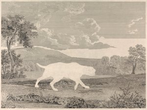 Le pointeur espagnol - William Woollett