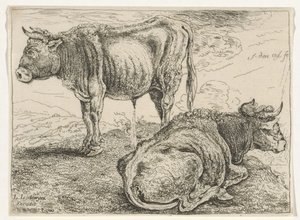 Deux bœufs