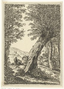 Saule - William Young Ottley