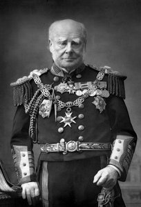 Amiral de la flotte Sir Henry Keppel 1809-1904, 1893 - William and Daniel Downey