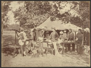 [Consultation au camp] - Willoughby Wallace Hooper