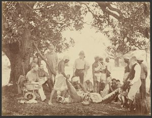 [Carcasse de tigre] - Willoughby Wallace Hooper