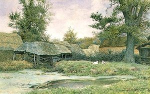 Cour de ferme avec étang à canards et canards