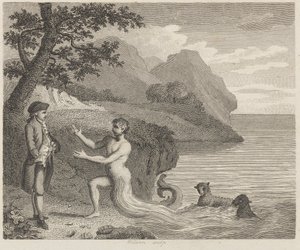 Courtisan et Protée - Wilson