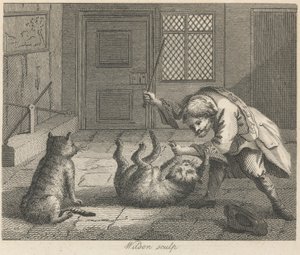 Le ratier et les chats