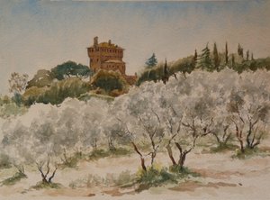 Pal Massaini, près de Pienza - Wilson Clive