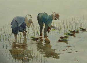 885 Plantation de riz - Wilson Clive