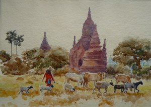 901 Bagan, troupeau parmi les temples