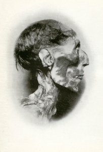 Tête de la momie de Ramsès II, pharaon égyptien de la 19e dynastie, vers 1212 av. J.-C. - Winifred Mabel Brunton