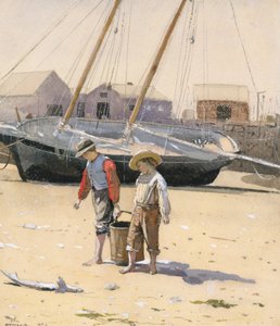 Un Panier de Palourdes
