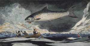 Une bonne piscine, rivière Saguenay, 1895 - Winslow Homer