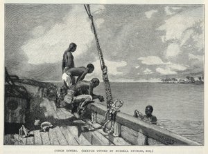 Un ouragan, la culture du chanvre, sur l