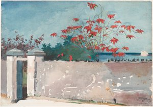 Un mur, Nassau - Winslow Homer
