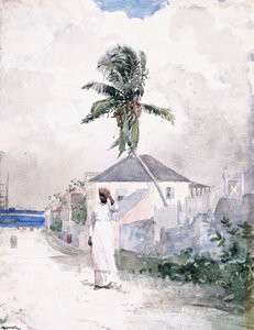 Le long de la route, les Bahamas, 1885 - Winslow Homer