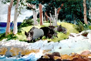 Colons des Bermudes - Winslow Homer