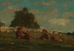 Garçon et fille dans un champ avec des moutons