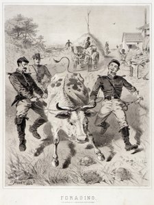 Croquis de campagne : La recherche de nourriture - Winslow Homer