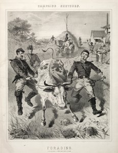 Croquis de campagne : Fourrage, 1863 - Winslow Homer