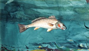 Bar de canal - Winslow Homer