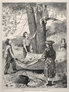 Ramassage de châtaignes
