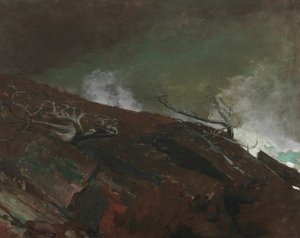 Côte du Maine - Winslow Homer