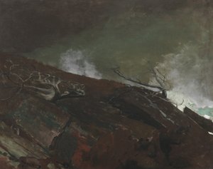 Côte du Maine - Winslow Homer