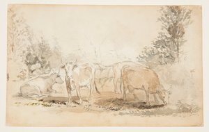 Vaches dans un pâturage