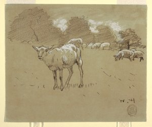 Dessin, moutons broutant dans un champ, vers 1875-78