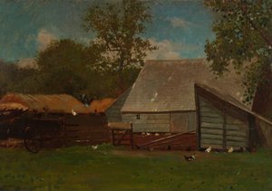 Cour de ferme avec canards et poules