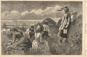 Cueillette de baies, de Harper - Winslow Homer
