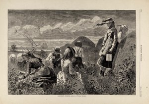 La cueillette des baies, tiré de Harper