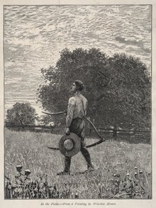 Dans les champs