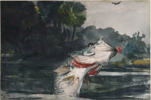 Bar noir grandeur nature - Winslow Homer
