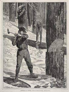 Exploitation forestière en hiver