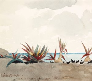  - Winslow Homer