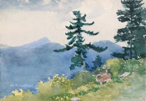 North Woods Club, Adirondacks (La Tête-à-tête interrompue) - Winslow Homer