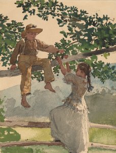 Sur la clôture, 1878
