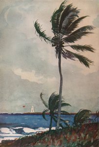 Palmiers, Nassau, 1898, 1932 - Winslow Homer