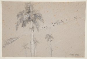 Palmier royal, Cuba - Winslow Homer